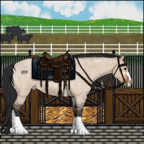 Horse Color:Bay Roan Dun Sabino 