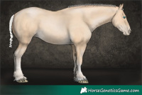 Horse Color:Silver Buckskin Pearl 