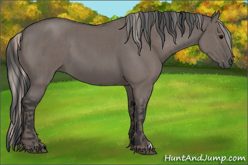 Horse Color:Silver Blue Roan  and Grullo 