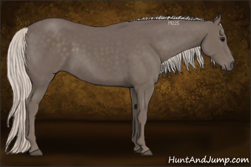 Horse Color:Silver Black 
