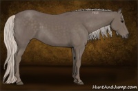 Horse Color:Silver Black 
