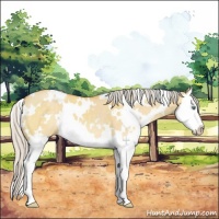 Horse Color:White Spotted Silver Amber Cream Champagne Dun Splash 