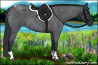 Horse Color:Blue Roan Tobiano 