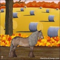 Horse Color:Liver Red Dun Rabicano