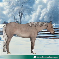 Horse Color:Silver Blue Roan 