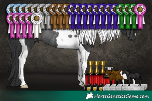 Horse Color:Black Tobiano Rabicano