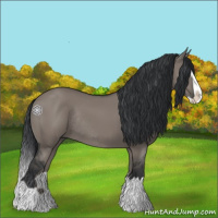 Horse Color:Grullo Splash Rabicano