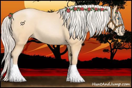 Horse Color:Silver Buckskin Pearl 