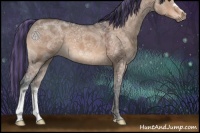 Horse Color:Painted Brown Ice Dun 