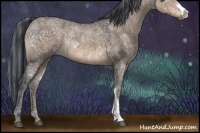 Horse Color:Painted Brown Ice Dun Rabicano 