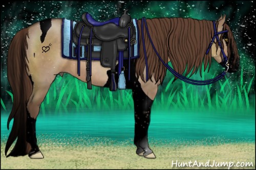 Horse Color:Void Liver Red Dun Splash Tobiano 