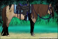 Horse Color:Void Liver Red Dun Splash Tobiano