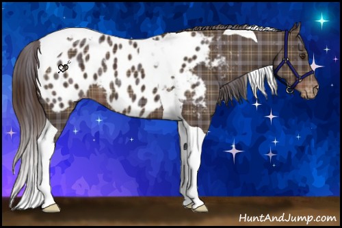 Horse Color:Plaid Liver Chestnut Tobiano Near Leopard