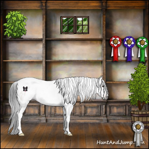 Horse Color:Gray White Spotted Brown Tobiano 