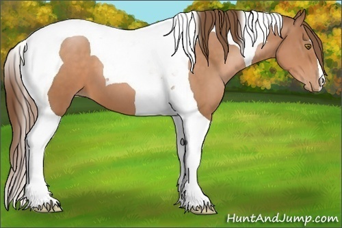 Horse Color:Brown Pearl Tobiano 
