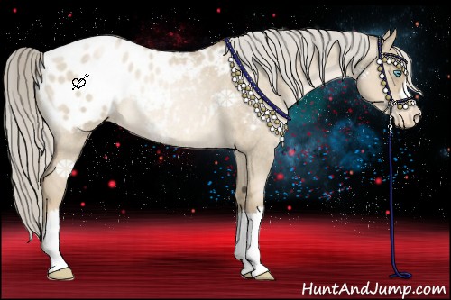 Horse Color:Chocolate Palomino Roan Pearl Dun Appaloosa Rabicano 
