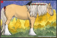 Horse Color:Palomino 