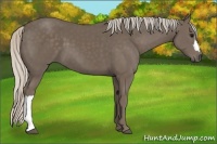 Horse Color:Silver Black 