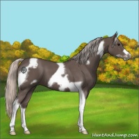 Horse Color:Silver Blue Roan Tobiano Frame