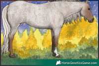 Horse Color:Silver Blue Roan Sabino 