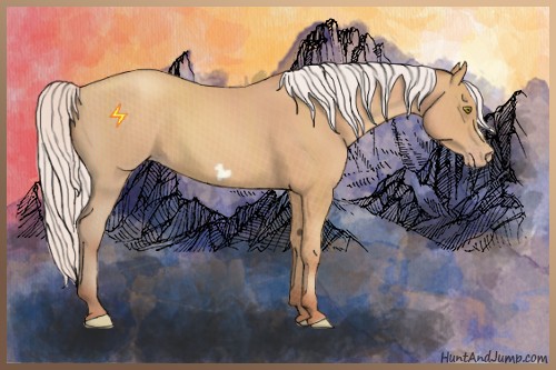 Horse Color:Silver Amber Champagne Frame 