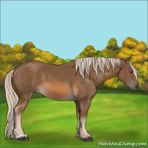 Horse Color:Chocolate Palomino 