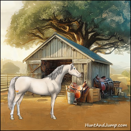 Horse Color:Gold Cream Champagne Pearl 