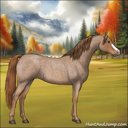 Horse Color:Red Roan 