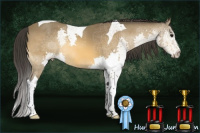 Horse Color:Buckskin Splash Tobiano 