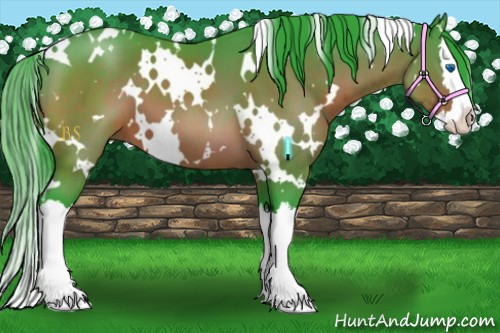 Horse Color:Watercolor White Spotted Brown Splash 