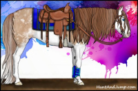 Horse Color:White Spotted Red Dun Splash