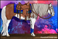 Horse Color:Silver Bay Splash Rabicano 