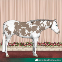 Horse Color:White Spotted Silver Grullo Splash 