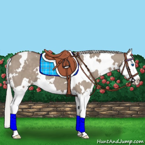 Horse Color:White Spotted Silver Grullo Splash 