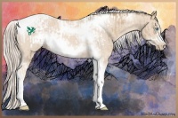 Horse Color:Chocolate Palomino Pearl Tobiano Frame  and Cremello Tobiano Frame 