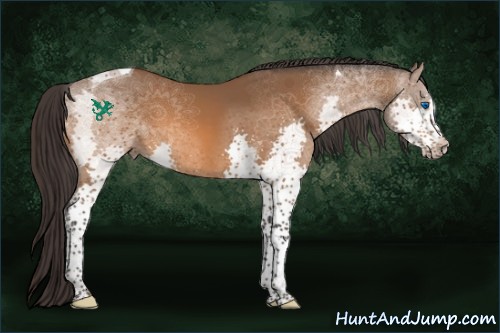 Horse Color:Buckskin Splash Tobiano 