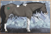 Horse Color:Grullo Splash Tobiano 