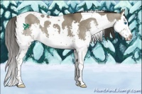 Horse Color:Smoky Grullo Splash Tobiano