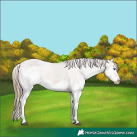 Horse Color:Bay Splash Tobiano Varnish 