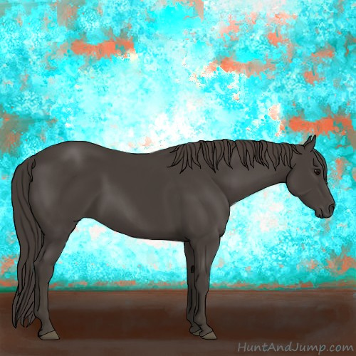 Horse Color:Smoky Black 