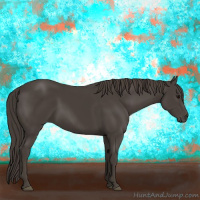 Horse Color:Smoky Black 