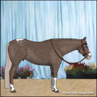 Horse Color:Silver Black Splash Tobiano 