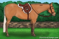 Horse Color:Silver Bay