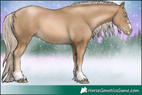 Horse Color:Chocolate Palomino Pearl 
