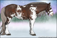 Horse Color:Silver Brown Sabino 