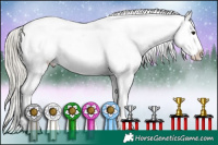 Horse Color:Silver Buckskin Tobiano Appaloosa 