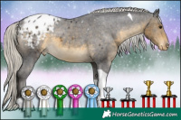 Horse Color:Silver Buckskin Tobiano Appaloosa
