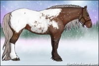 Horse Color:Silver Brown Appaloosa