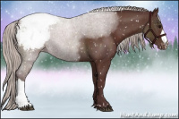 Horse Color:Chocolate Silver Brown Snowcap