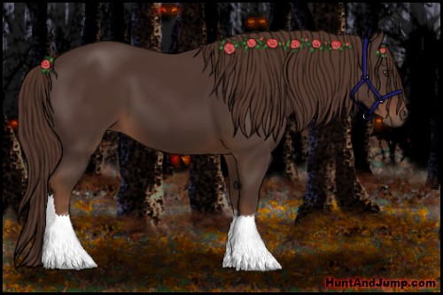 Horse Color:Liver Chestnut Tobiano